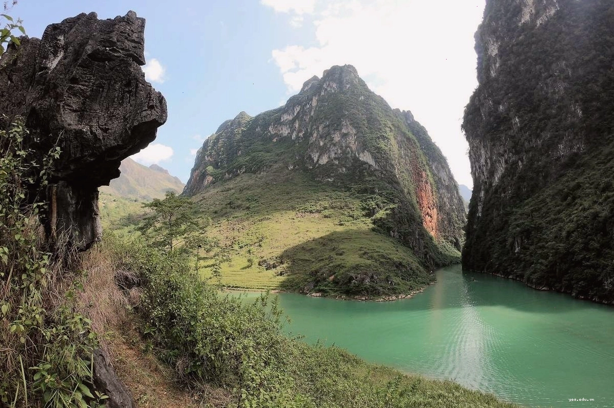 Sông Nho Quế mùa xuân với sắc hoa đào và hoa mận rực rỡ