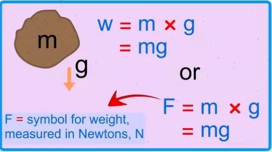 Sử dụng công thức tính trọng lượng từ khối lượng