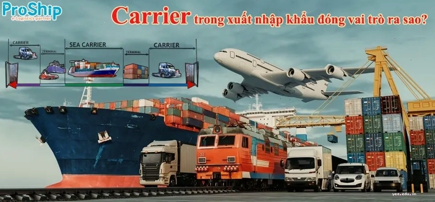 Sự khác biệt giữa Carrier và Freight Forwarder