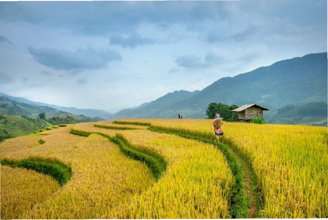 Suite Family tại Mai Châu Moment