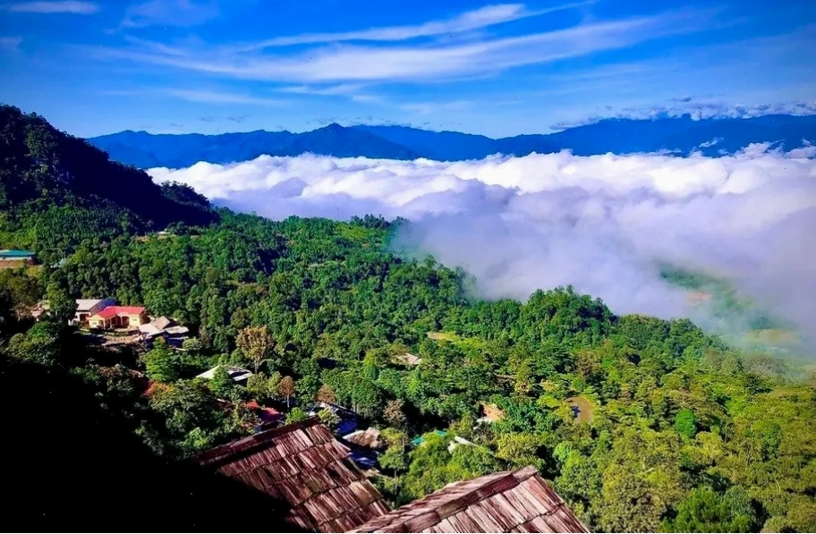 Suối Giàng với những cây chè cổ thụ hàng trăm năm tuổi