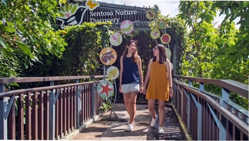 Tắm biển và thư giãn tại bãi biển Palawan, Sentosa