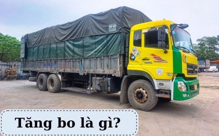 Tăng Bo Là Gì? Giải Pháp Vận Tải Linh Hoạt và Tối Ưu Chi Phí Năm 2026