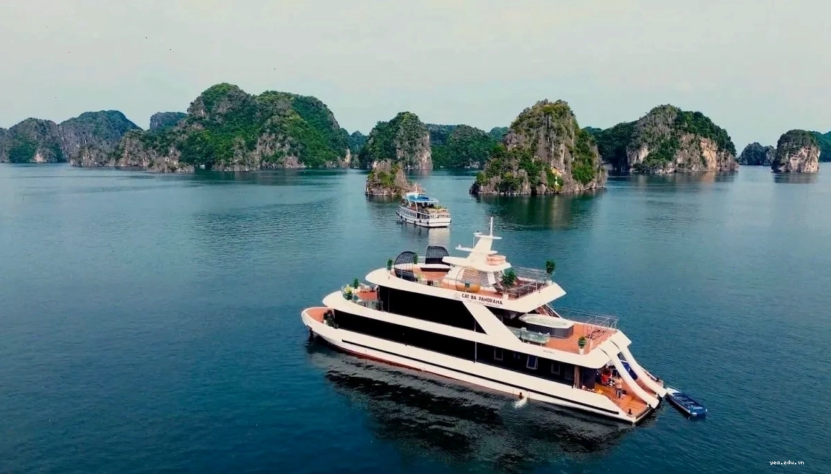 Tàu cao tốc hay du thuyền khám phá Vịnh Lan Hạ