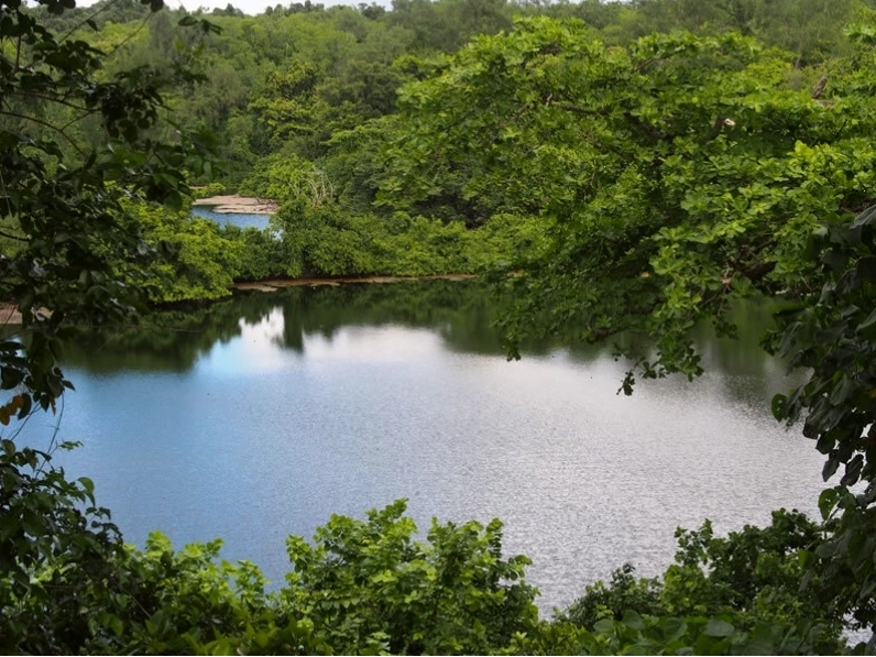 Thác nước hùng vĩ giữa rừng xanh ở Palau