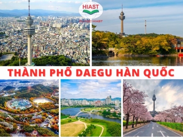 Thành phố Daegu Hàn Quốc về đêm lung linh ánh đèn