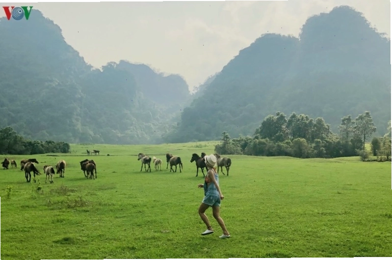 Thảo nguyên Đồng Lâm Hữu Lũng Lạng Sơn nhìn từ trên cao với thảm cỏ xanh mướt