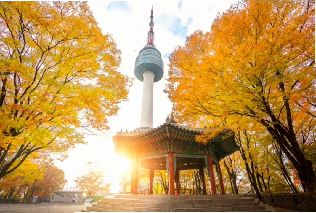 Tháp Namsan biểu tượng của Seoul với tầm nhìn toàn cảnh thành phố