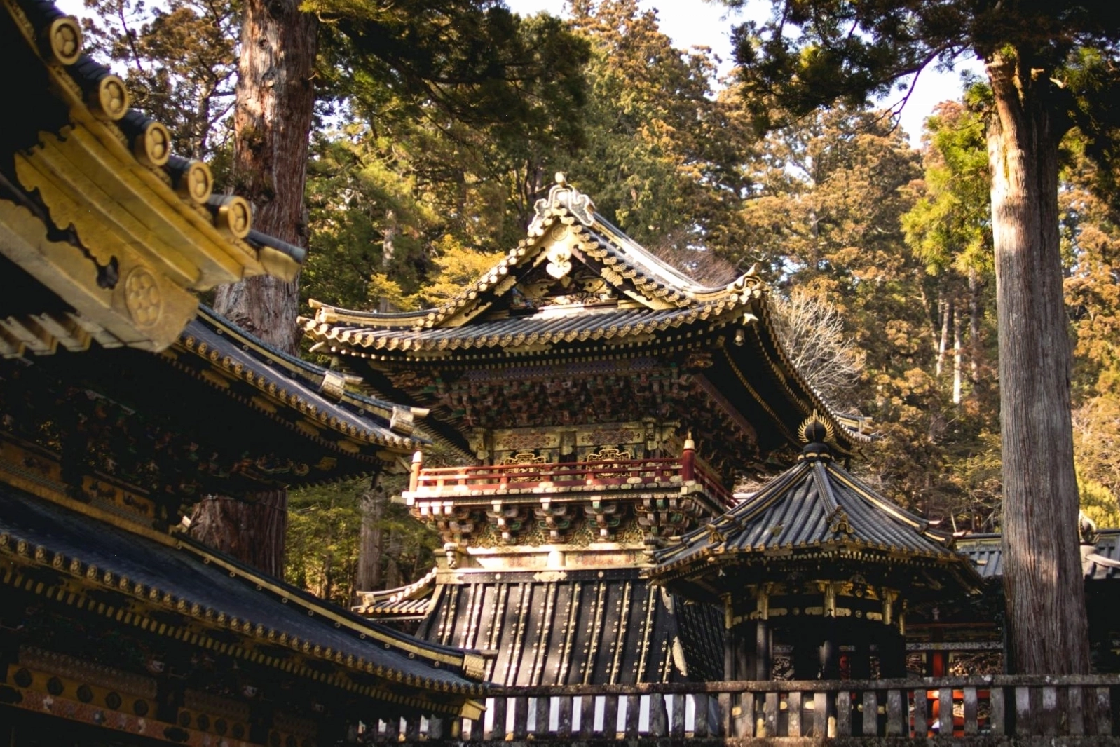 Tháp Tokyo lung linh về đêm