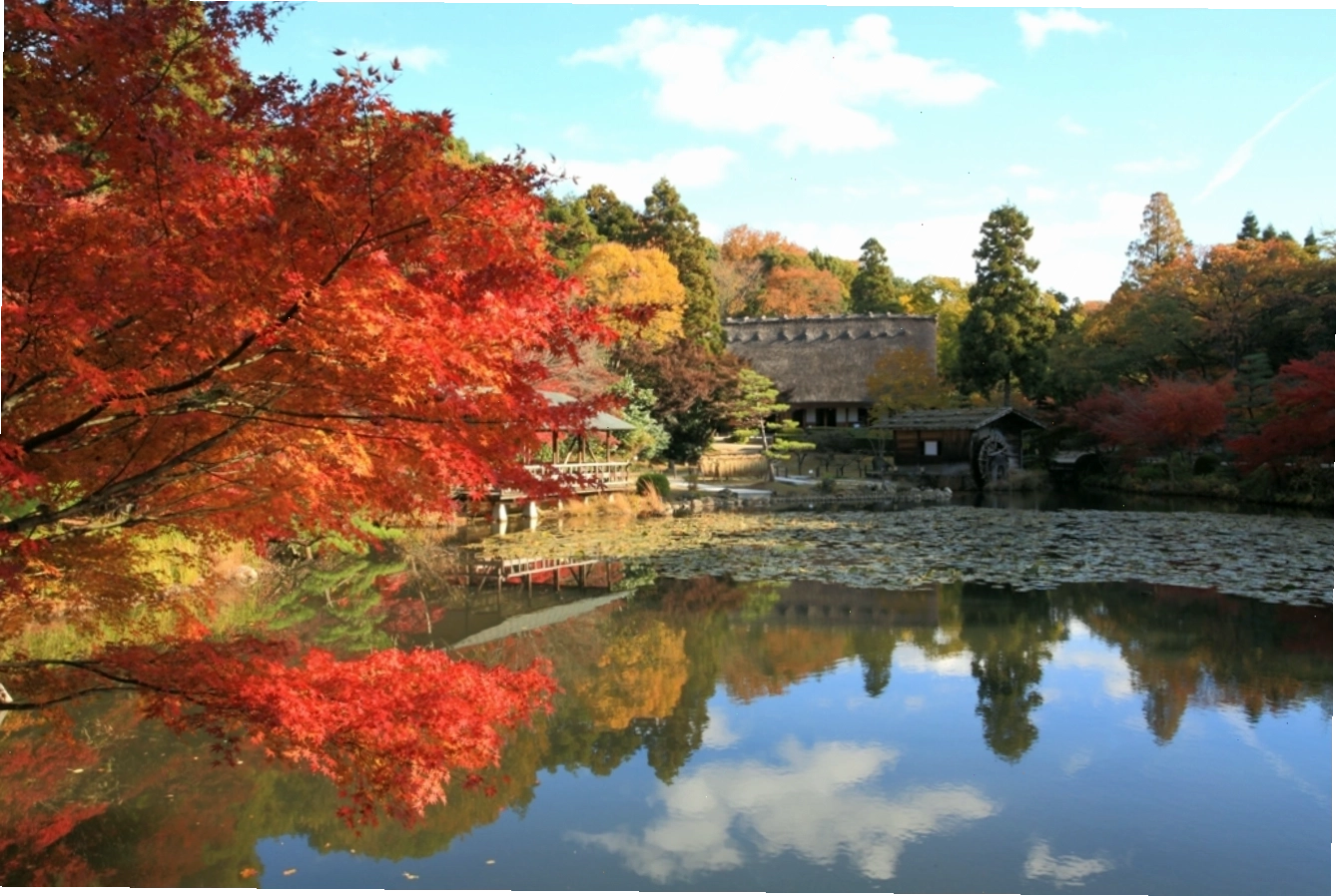 Thế giới động vật và thực vật tại Vườn Higashiyama Nagoya