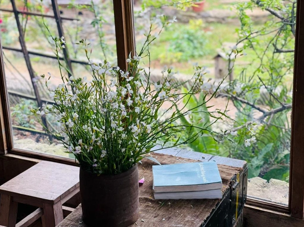 The Meadow Mộc Châu: Trải nghiệm Homestay "chill" giữa thảo nguyên xanh