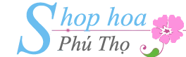 Thị trấn Hạ Hòa Phú Thọ: Khám phá tiềm năng và diện mạo mới