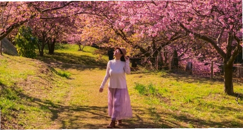 Thiên nhiên kỳ vĩ tại Hakone
