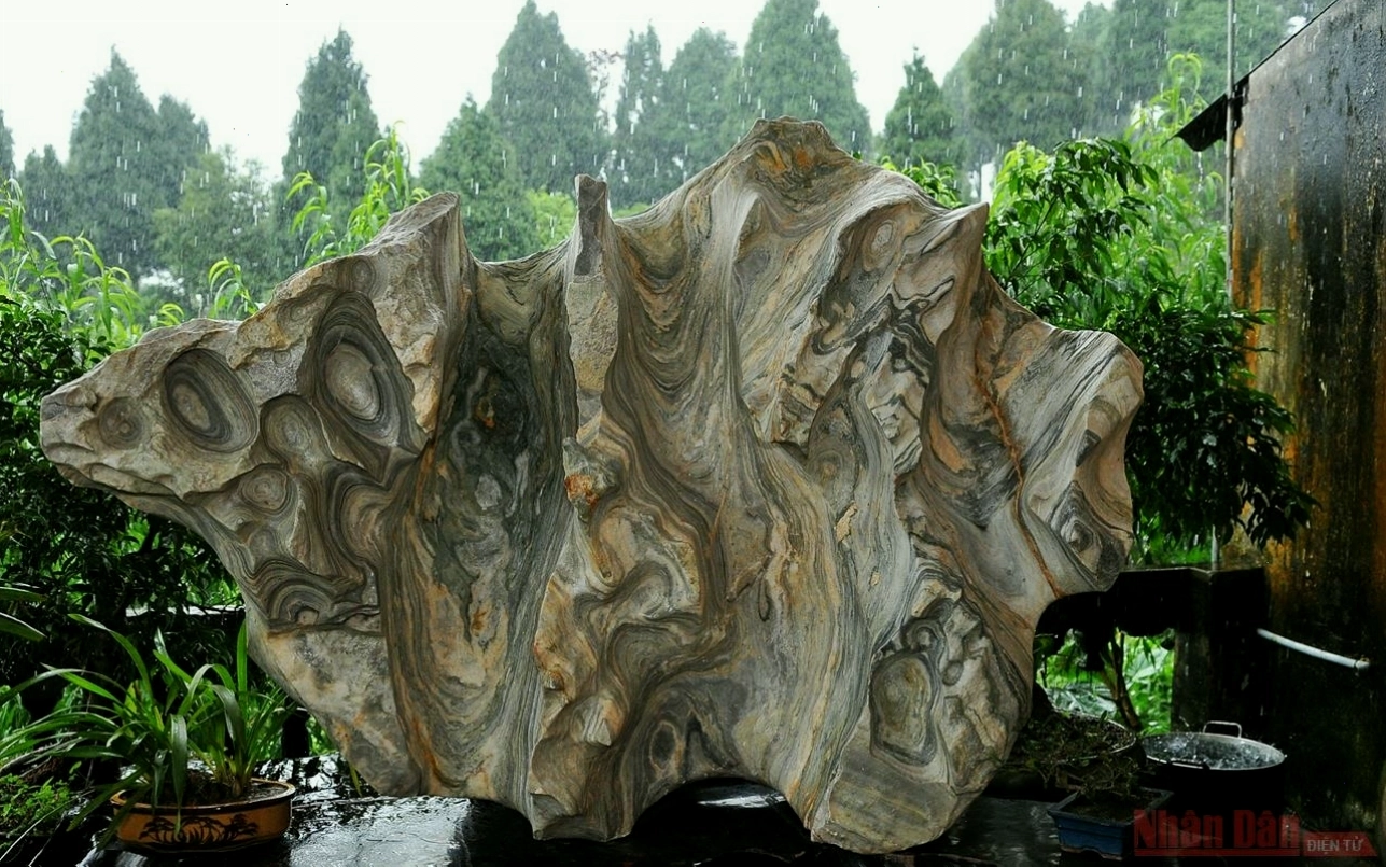 Thớ đá hình thù kỳ dị từ Suối Giàng