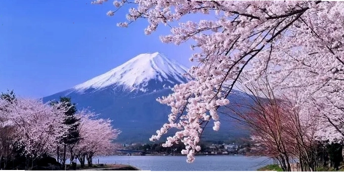 Thời điểm đẹp nhất để ghé thăm Yamanashi