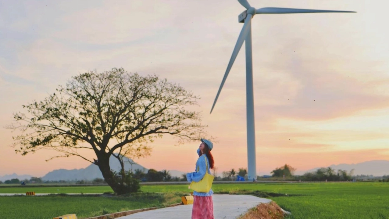 Thời điểm lý tưởng để chụp ảnh là sáng sớm hoặc chiều tà tại đồng quạt gió