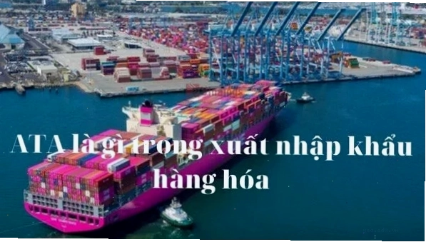 Thời gian đến thực tế ATA của phương tiện vận tải