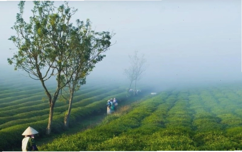 Thời tiết Mộc Châu tháng 4 với nắng nhẹ và không khí trong lành