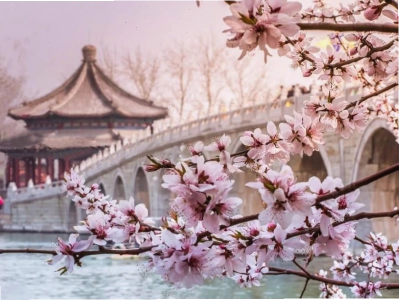 Thời tiết mùa xuân mát mẻ dễ chịu ở Dương Châu