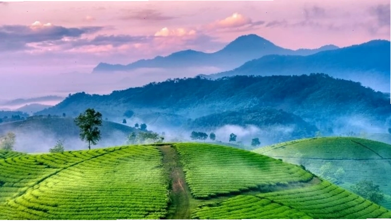 Thung lũng Bắc Sơn Lạng Sơn với cảnh đẹp mê hoặc