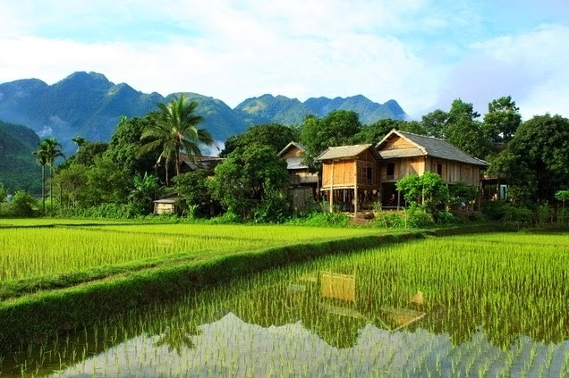 Thung lũng Mai Châu: Khám phá vẻ đẹp núi rừng và văn hóa Thái