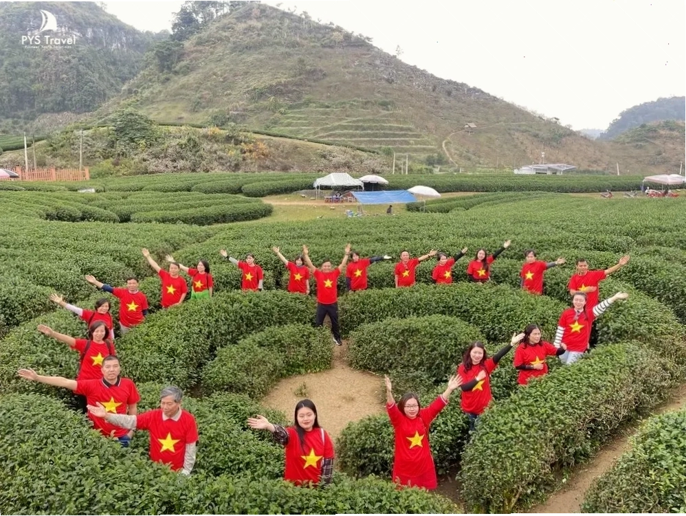 Thưởng thức bơ Mộc Châu thơm ngon và an toàn