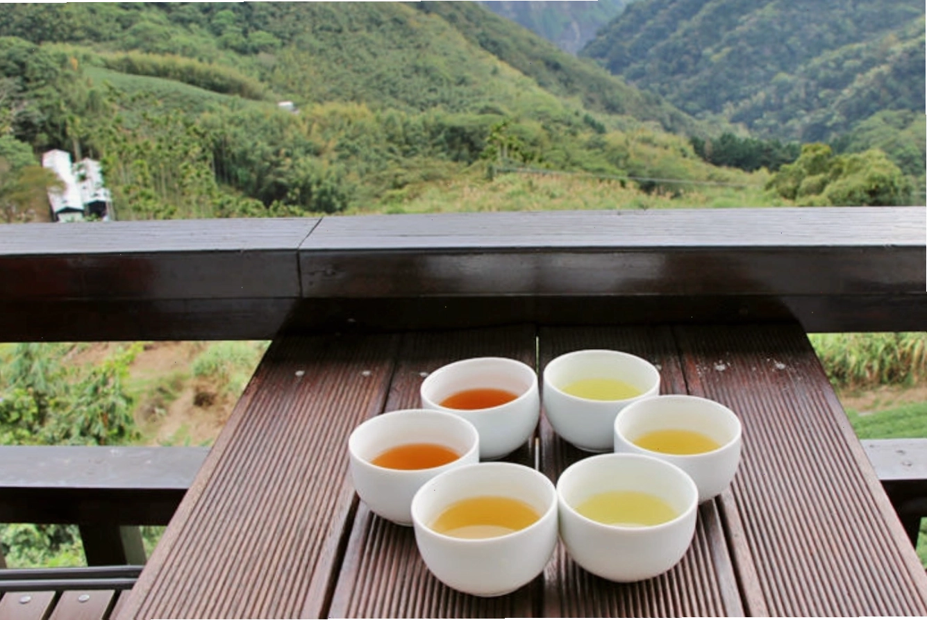 Thưởng thức đặc sản trà thơm ngon của vùng Alishan