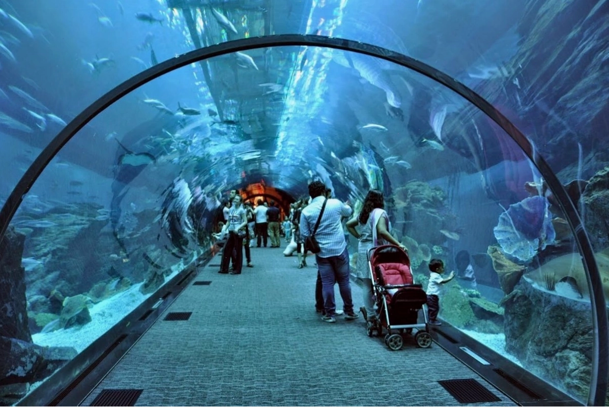 Thủy cung Dubai Mall