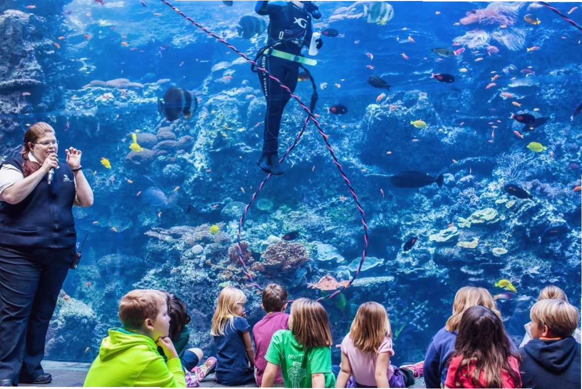Thủy cung Oceanografic, Tây Ban Nha