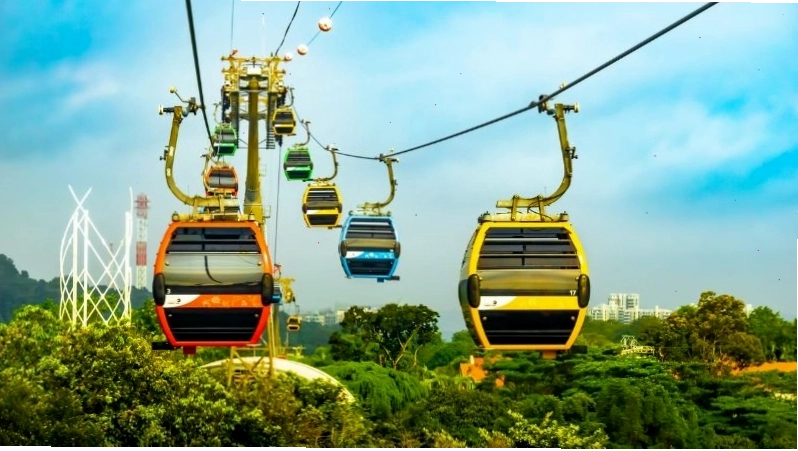 Thủy cung Sea Aquarium với đa dạng sinh vật biển