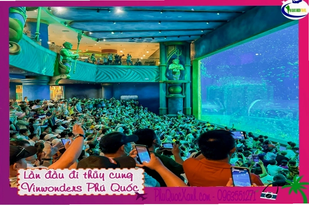Thủy cung VinWonders với các loài sinh vật biển đa dạng