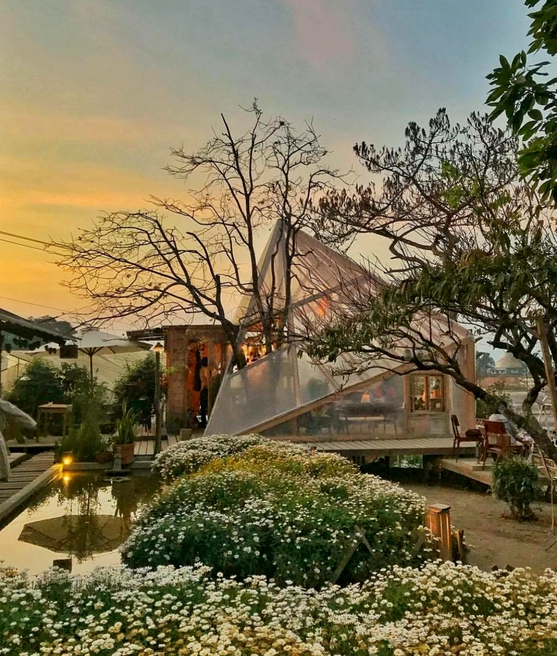 Tiệm cà phê Túi Mơ To - điểm đến lý tưởng cho những ai yêu sự nhẹ nhàng