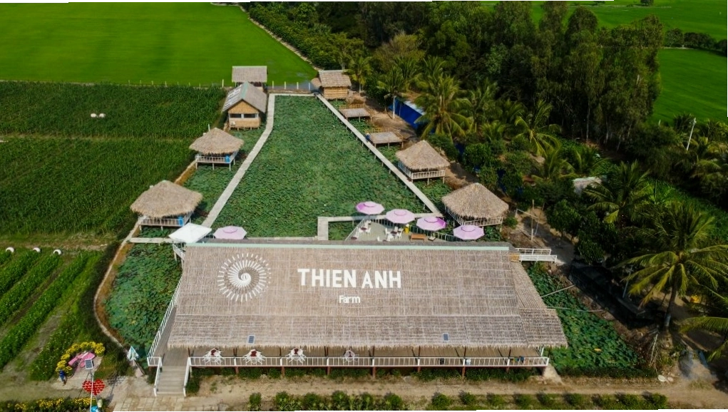 Tiểu cảnh vòng hoa trái tim lãng mạn tại Cánh đồng Hoa Thiên Anh