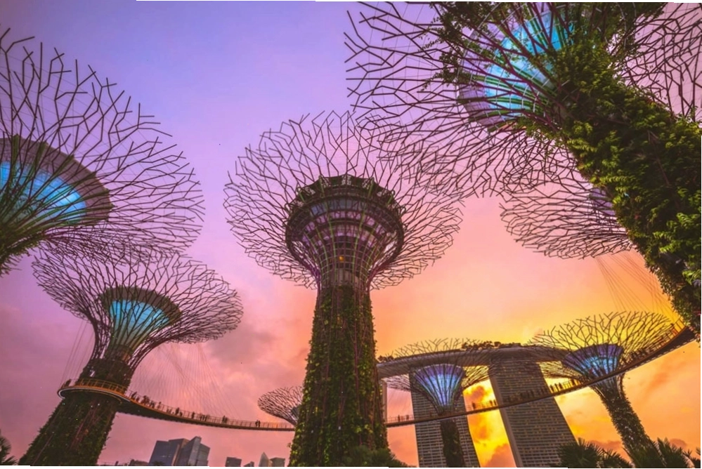 Tìm hiểu các quy định khi đi du lịch Singapore