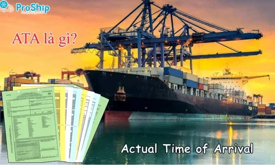 Tìm hiểu tầm quan trọng của ATA trong hoạt động Logistics