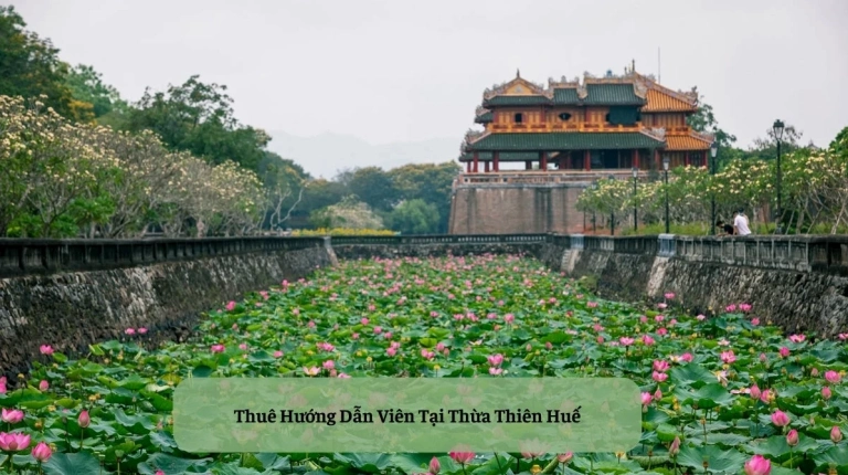Tìm Hướng Dẫn Viên Du Lịch Chuyên Nghiệp Tại Huế: Cẩm Nang Toàn Diện