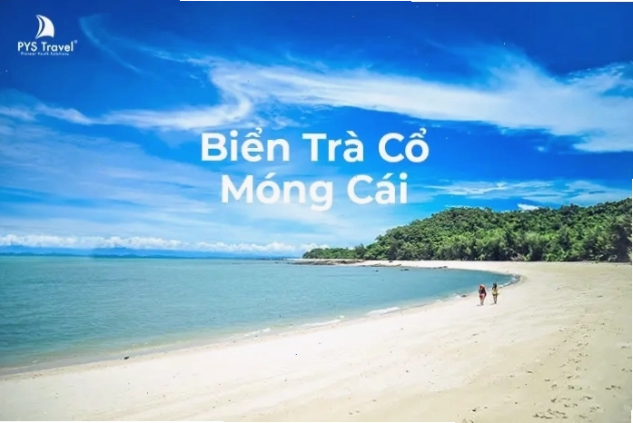Toàn cảnh bãi biển Trà Cổ Móng Cái với bờ cát vàng và làn nước xanh