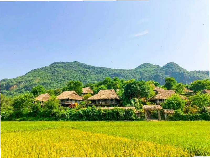 Toàn cảnh Bản Lác Mai Châu nhìn từ trên cao với những ngôi nhà sàn và ruộng bậc thang xanh mướt