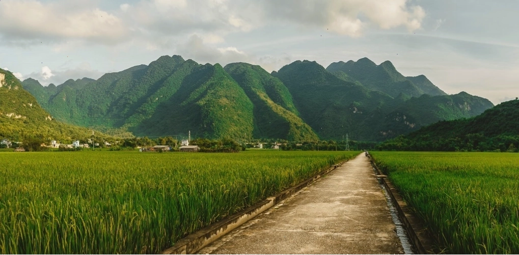 Toàn cảnh bản Lác Mai Châu với những ngôi nhà sàn cổ kính nép mình dưới chân núi