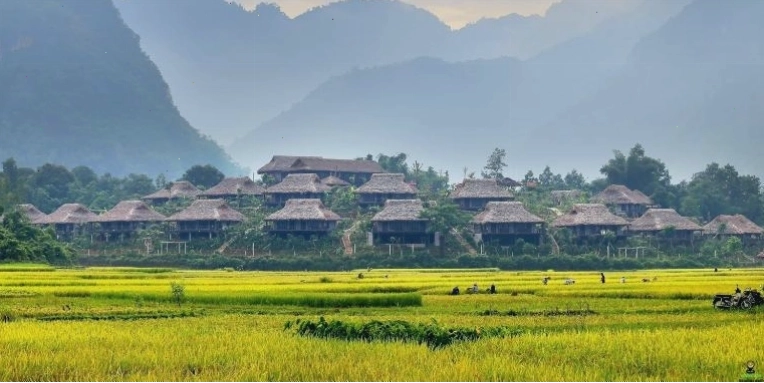 Toàn cảnh Bản Lác Mai Châu với những ngôi nhà sàn và ruộng bậc thang xanh mướt