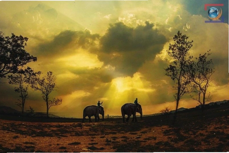 Toàn cảnh Buôn Đôn, Buôn Ma Thuột