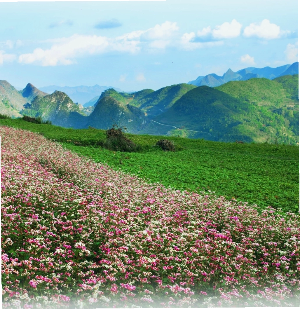 Toàn cảnh Cao nguyên đá Đồng Văn Hà Giang hùng vĩ
