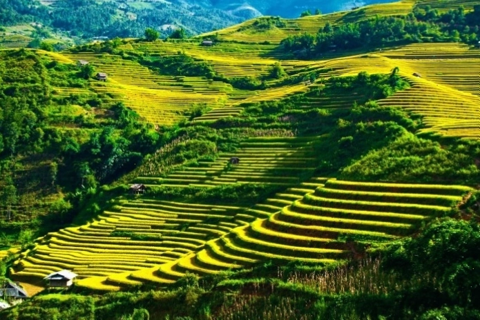 Toàn cảnh cung đường đèo Khau Phạ hùng vĩ