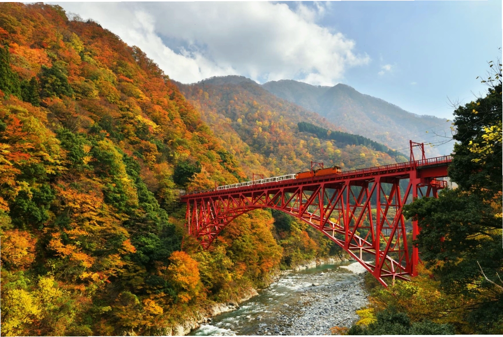 Toàn cảnh Discover Toyama