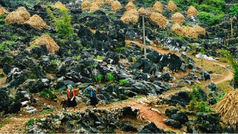 Toàn cảnh hùng vĩ của Cao nguyên đá Đồng Văn