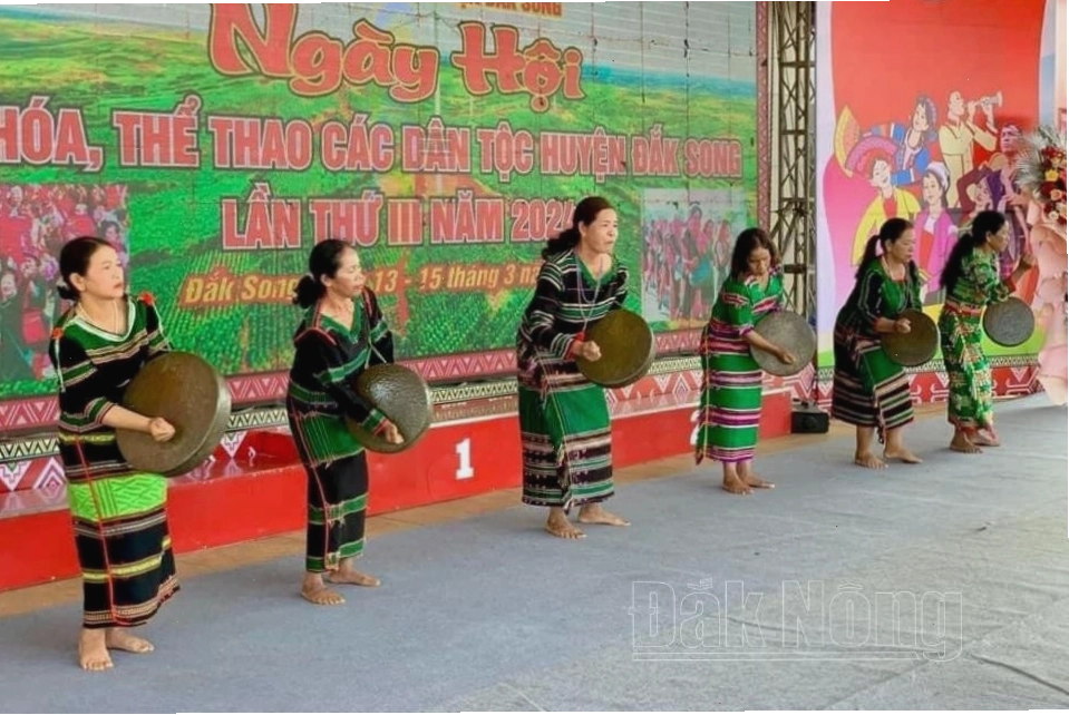 Toàn cảnh huyện Đắk Song với những cánh rừng thông xanh mướt