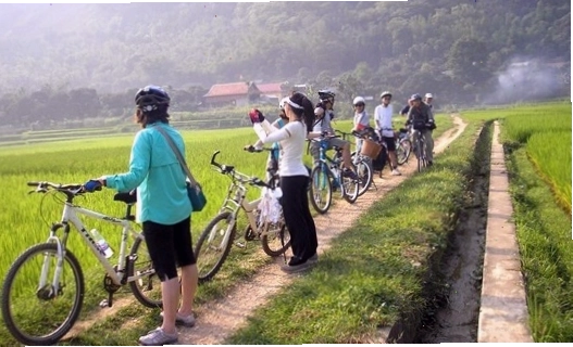 Toàn cảnh khu nghỉ dưỡng Mai Châu Ecolodge ẩn mình giữa núi rừng