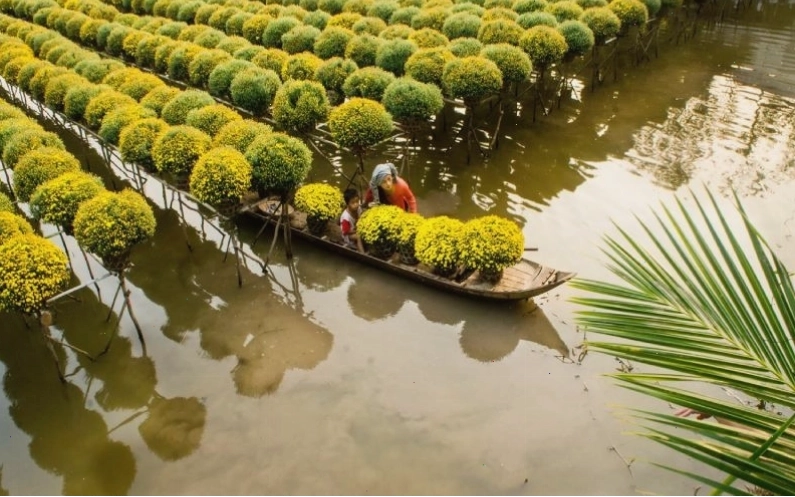Toàn cảnh Làng hoa Sa Đéc rực rỡ sắc màu