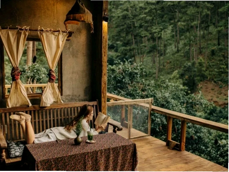 Toàn cảnh Lưng Chừng Cafe với view rừng thông xanh mướt