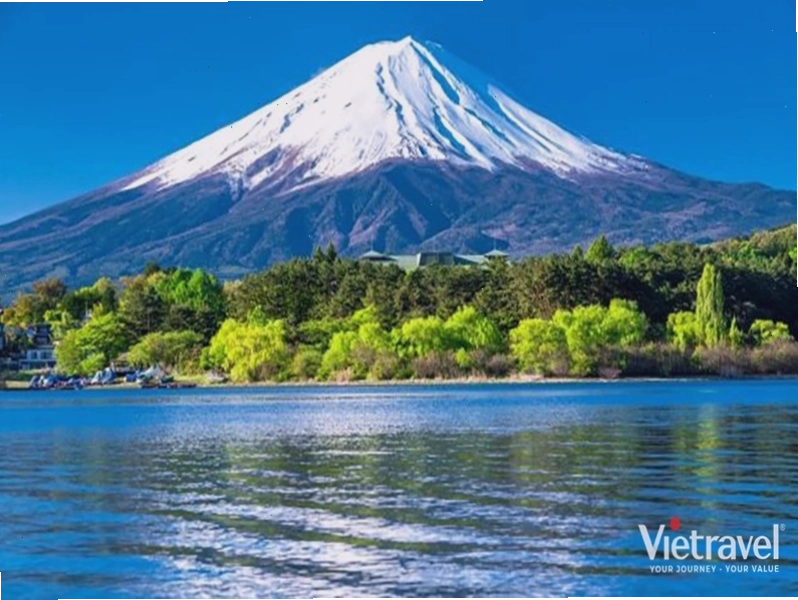 Toàn cảnh Shibuya nhộn nhịp về đêm, biểu tượng của Tokyo